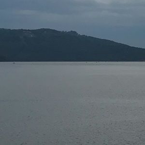 Meet your Posher, Levi